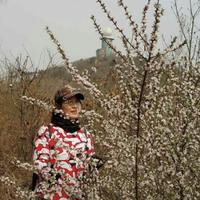 嗅觉生活头像