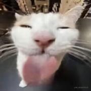 周俊宇的个人资料头像