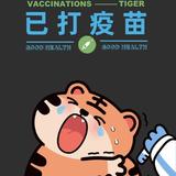 第十一本书的猜想头像