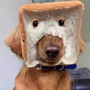 叫我Nene丶啦的个人资料头像