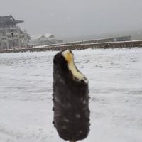 遗憾是必修课头像