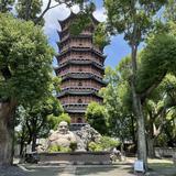 善尘79头像