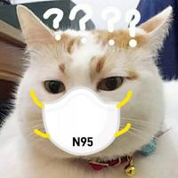 同学你钱掉了908头像
