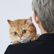 缅甸高启菜的个人资料头像