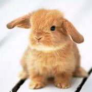 庆蝈蝈的个人资料头像