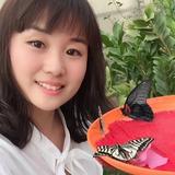 智慧小糊涂DD头像