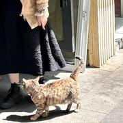 Liou631的个人资料头像