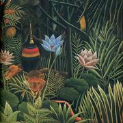 zry620的个人资料头像