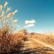 HLK的个人资料头像