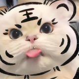 最爱兔兔兔头像