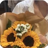 s81990102头像