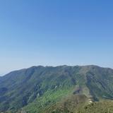 粒藕口语头像