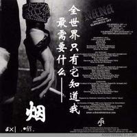 睿智荷叶vn头像