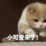 鸡涌家奈奈酱的个人资料头像
