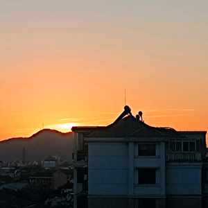 海口龙华诺叶百货店头像