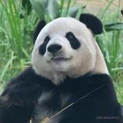 坐地日行两万里的个人资料头像