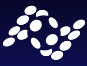 汇付天下开发者运营的个人资料头像