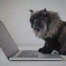 kane的个人资料头像