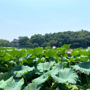 暖向阳头像