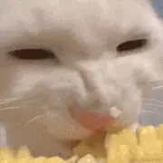 摸鱼比较好的个人资料头像