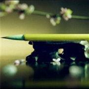 db7f6291419211e983ee5b4f614eb33d的个人资料头像