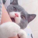 吴德涵的个人资料头像