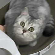 Ailurus928的个人资料头像