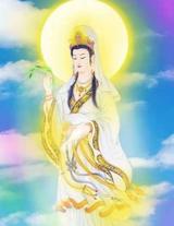 华股380头像