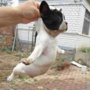 黄星宾的个人资料头像