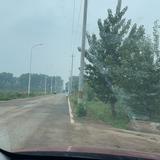 自在的为正义发声头像