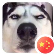 前端公务员的个人资料头像