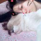 Yeah的个人资料头像