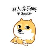jl非洲小白头像