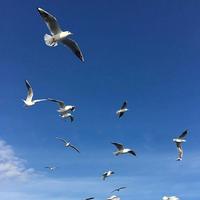 用户5841746949906头像