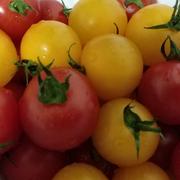 大厂孕妈前端的个人资料头像