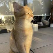 catch619的个人资料头像