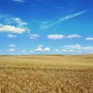 86的个人资料头像