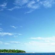 风逐雨落的个人资料头像