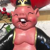 一心一意把铅球练好头像