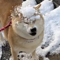 阳光风男一E孤行头像