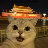 聪明绝顶的核桃头像
