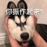 禹梓林头像