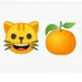 橙子和大橙子和猫小弟头像