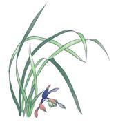 十里银杏长廊的个人资料头像