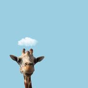 kangkang436的个人资料头像