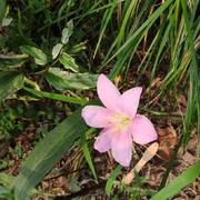 Lucifer1m的个人资料头像