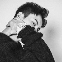 喝咖啡的松鼠506头像