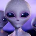 自驾游摄影头像