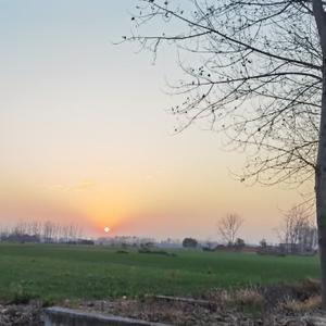 虽远丶渐行头像