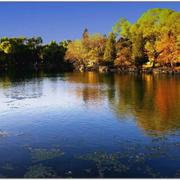 Carl_xxx的个人资料头像